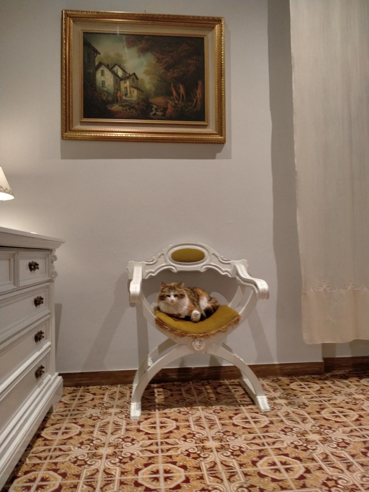 Serendipity B&B ファブリアーノ エクステリア 写真